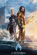 Aquaman y el reino perdido (2023) Online Flv HD