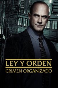 La ley y el orden: crimen organizado Serie HD